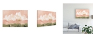 Trademark Global Emma Scarvey Pink Haze Sunset II Canvas Art - 20" x 25"